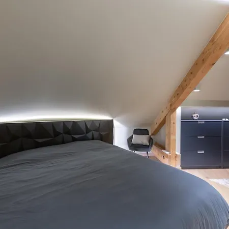 Mairnaige, Luxueux Appartement Avec Sauna Gerardmer Exterior photo